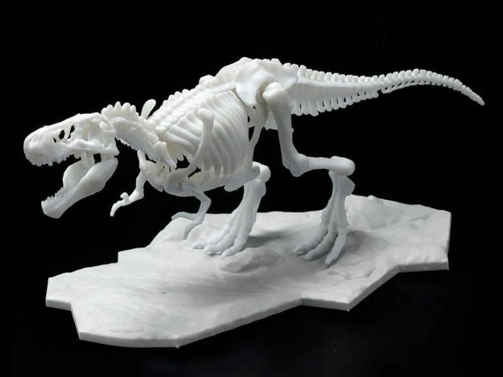 Bandai - Dinosaur Skeleton: Tyrannosaurus