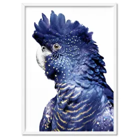 Black Cockatoo (blue tones) I - Art Print