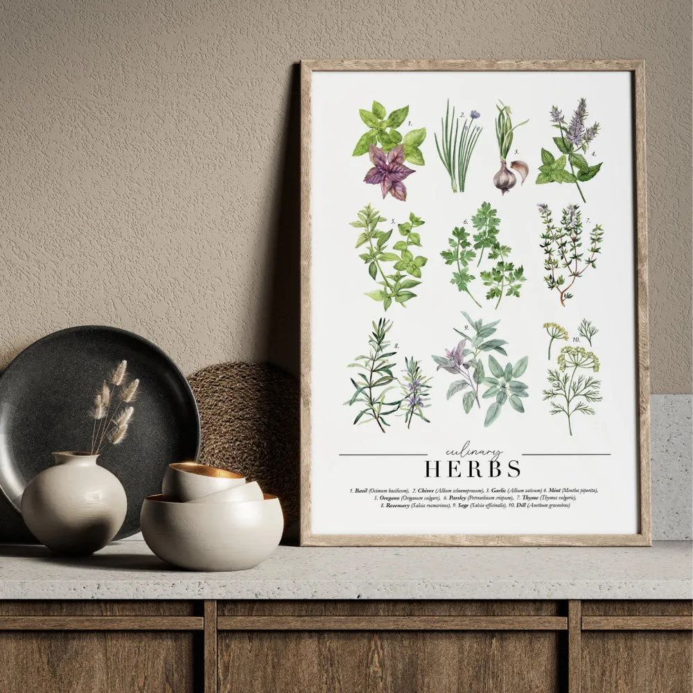 Culinary Herbs Chart - Art Print