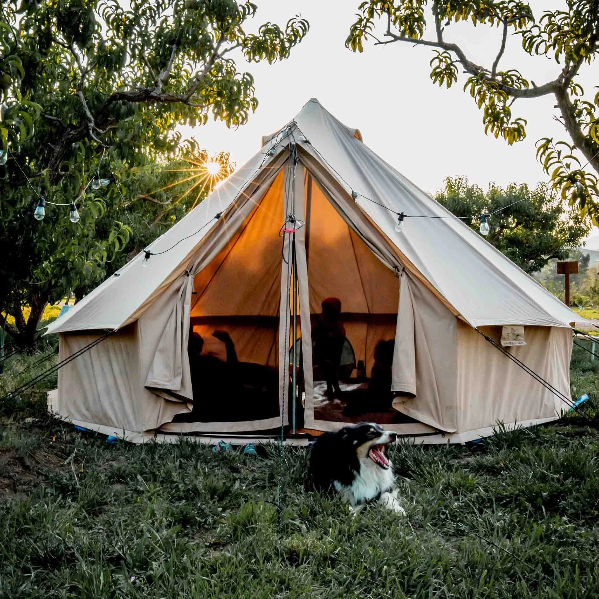 Used - 13' Regatta Bell Tent - Sandstone Beige